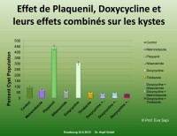 Formation de kystes avec différentes substances